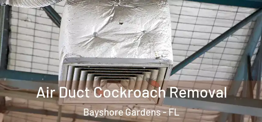Air Duct Cockroach Removal Bayshore Gardens - FL