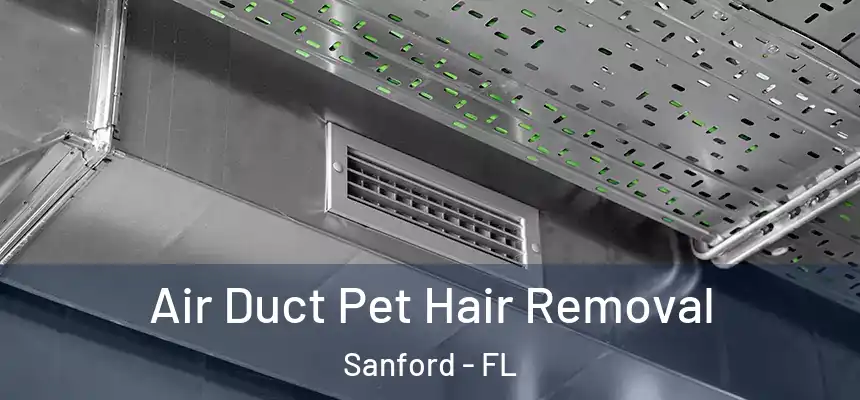  Air Duct Pet Hair Removal Sanford - FL