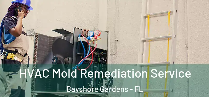  HVAC Mold Remediation Service Bayshore Gardens - FL