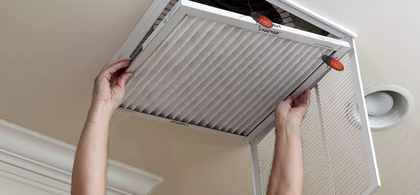 Preventive Cockroach-Proofing for Ducts in Bayshore Gardens