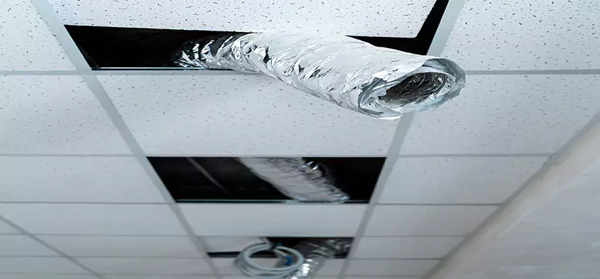 Affordable HVAC Sanitizing After Pest Removal in Sanford