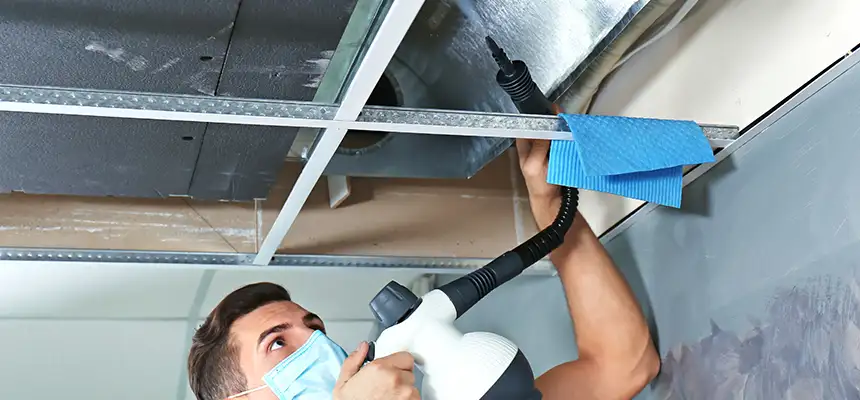 Our Air Duct Rodent Removal Services in Sanford, FL