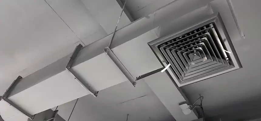 Our Pest Removal From Ducts Services in Bayshore Gardens, FL