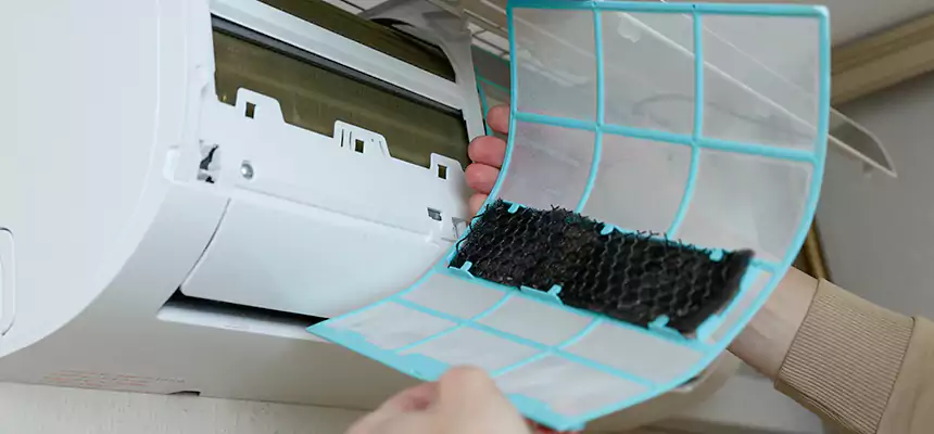 Gentle Ductwork Odor-Control Pet Dander Duct Cleaning in Sanford, FL