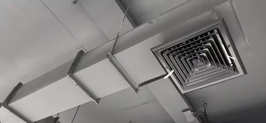 Our Rodent Droppings In Vents Services in Bayshore Gardens, FL