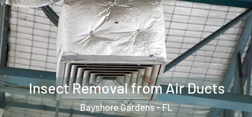 Insect Removal from Air Ducts Bayshore Gardens - FL