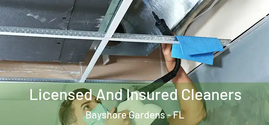 Licensed And Insured Cleaners Bayshore Gardens - FL