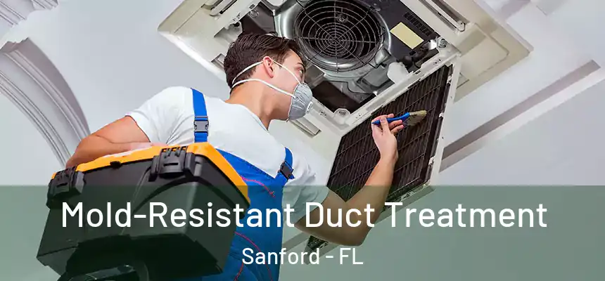  Mold-Resistant Duct Treatment Sanford - FL