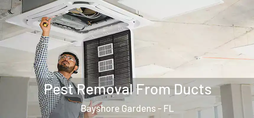 Pest Removal From Ducts Bayshore Gardens - FL