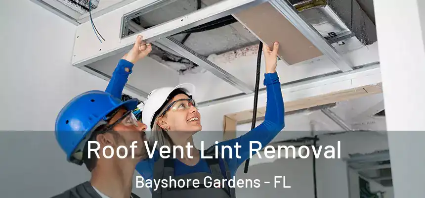 Roof Vent Lint Removal Bayshore Gardens - FL