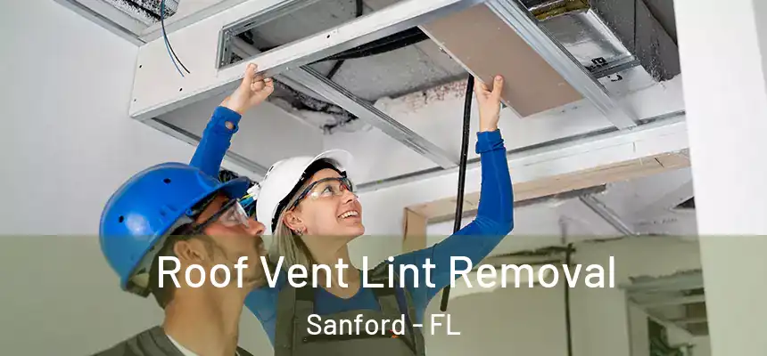 Roof Vent Lint Removal Sanford - FL