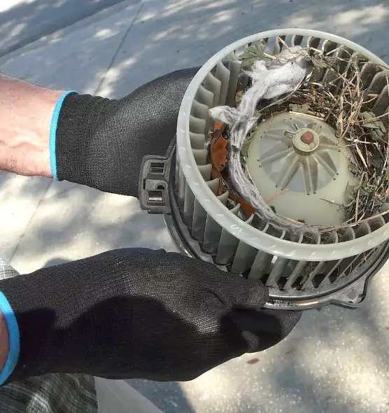 About Air Duct Mice Removal in Bayshore Gardens, FL