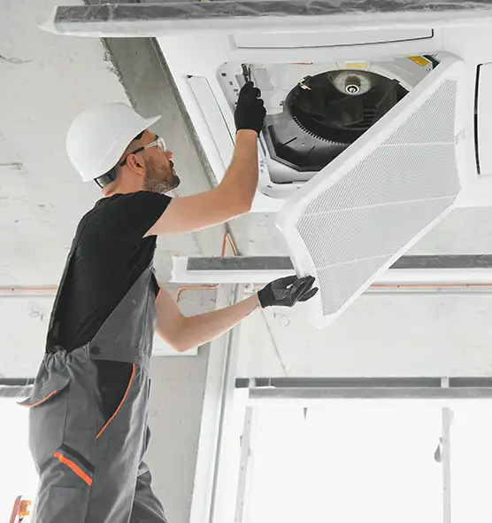 About Air Duct Rodent Removal in Sanford, FL