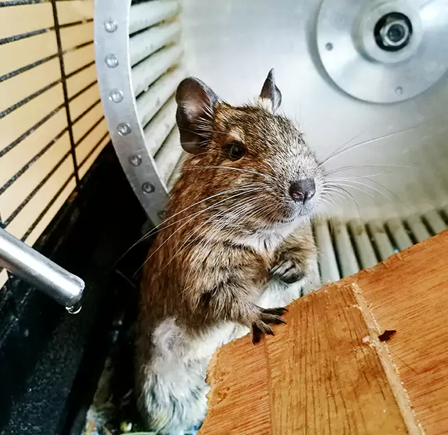 Why Homeowners & Businesses Trust Us Sanford, FL