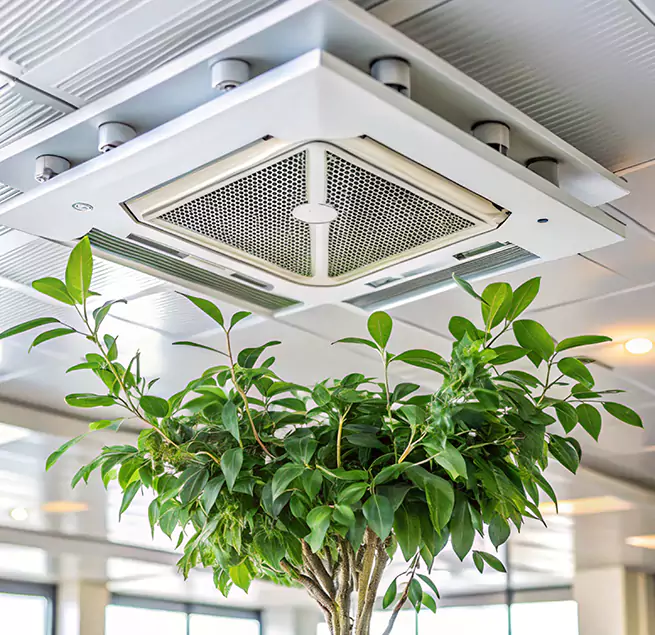 Why Homeowners & Businesses Trust Us in Sanford, FL