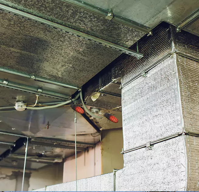 Why Homeowners & Businesses Trust Us Sanford, FL?