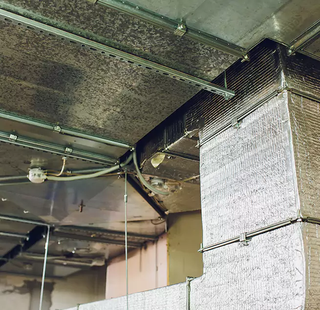 Why Homeowners & Businesses Trust Us in Sanford, FL?